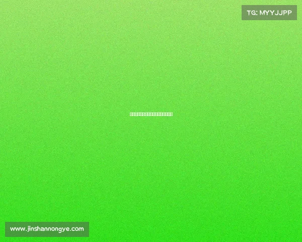 黄浦竞放新势力，打造电竞产业新高地